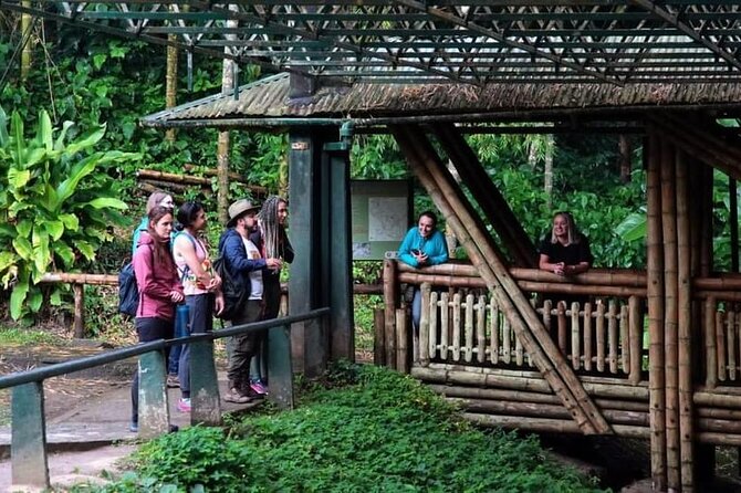 Private Guided Tour in The Archaeological Park - Flexible Booking and Cancellation
