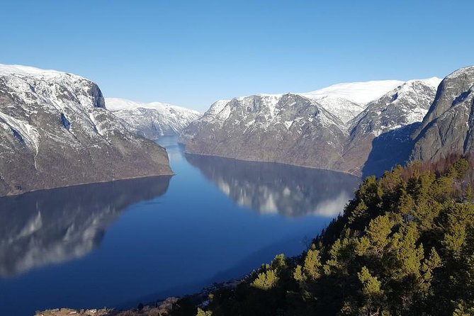 Private Guided Tour - Premium Nærøyfjord Cruise and Flåm Railway - Exploring Voss Municipality