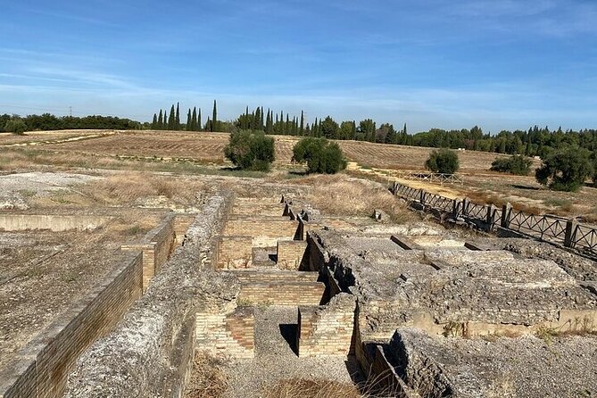 Private Hald Day Tour to the Historic Roman City of Italica - Exploring Italica