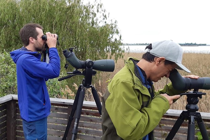 Private Half-Day Birding at Monteverde Cloud Forest - Pricing and Reservations