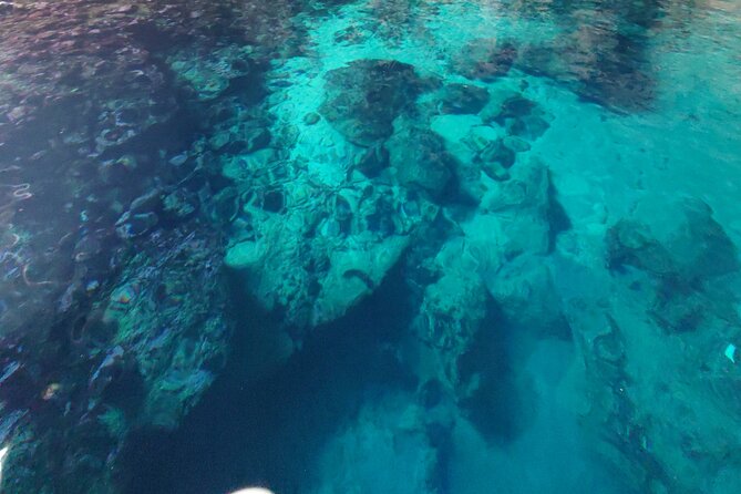 Private Half Day Boat Sazani Island & Haxhi Aliu Cave - Exploring Sazani Island