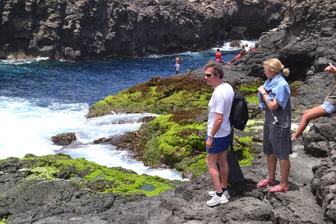 Private Half-Day Island Tour With Shark Watching Experience From Santa Maria - Accessibility and Special Needs