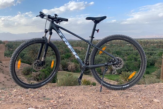 Private Half-Day Mountain Biking Excursion to Discover the Palm Grove of Skoura - Traveler Reviews