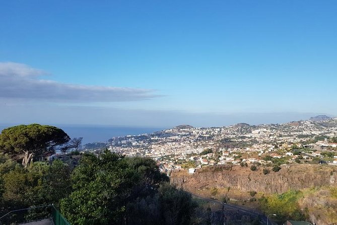 Private Halfday Madeira Garden Tour - Combining the Garden Experiences
