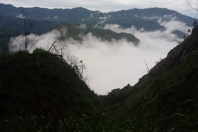 Private Hiking Adventure to the Little Adam's Peak And Nine Arches Bridge. - Accessibility Information