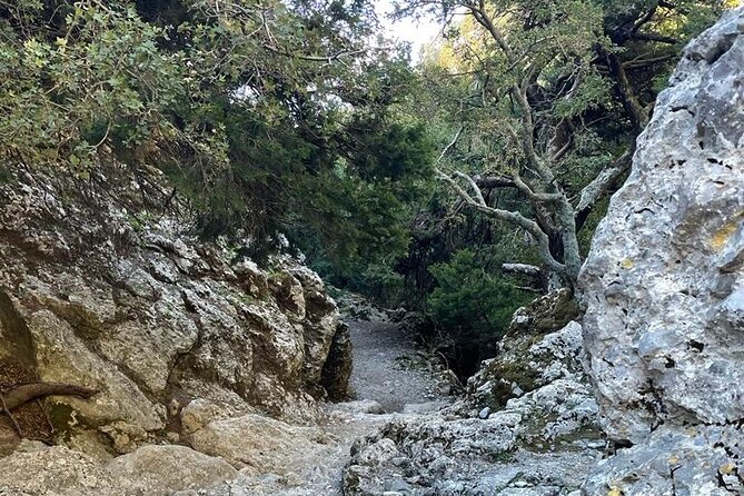 Private Hiking Tour in Imbros Gorge (Chania) - Booking Process and Flexibility