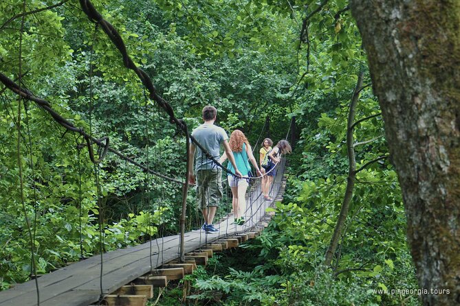 Private Hiking Tour to Mtirala National Park From Batumi - Scenic Highlights