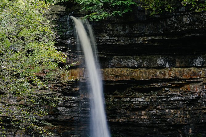 Private Hire: Yorkshire Dales From York in 16 Seater Minibus - Entrance Fees and Additional Costs