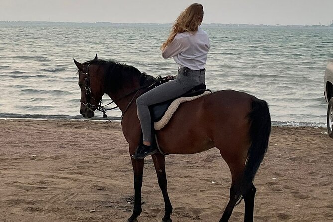Private Horse Riding Experience at Red Sea - Customer Feedback