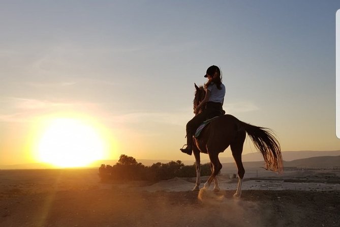 Private Horse Riding Tour in Luxor West Bank - Traveler Information
