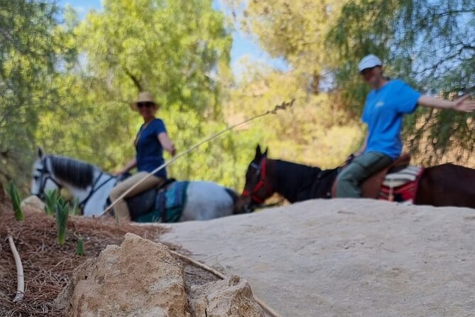 Private Indiana-Jones Archeological Trail Tour - Traveler Reviews