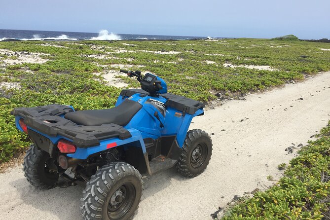 Private Island Tour in Hawaii With Pickup Included - Personalization of the Experience