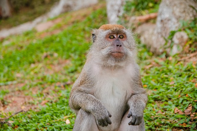 Private Kanching Waterfalls With Batu Caves & Ramayana Caves Tour - Tips for a Great Experience