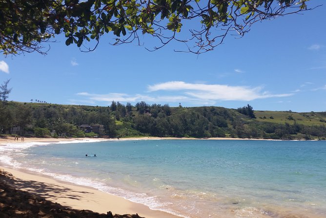 Private Kauai North Shore Tour - Wildlife Viewing Opportunities