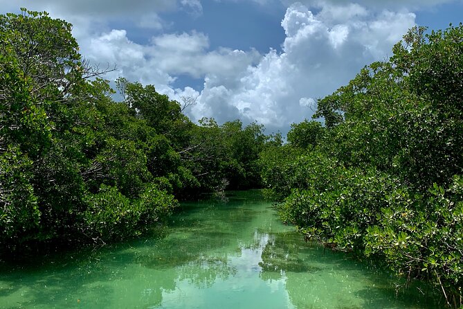 Private Key West Sandbar and Paddle by Boat - Customer Reviews and Feedback