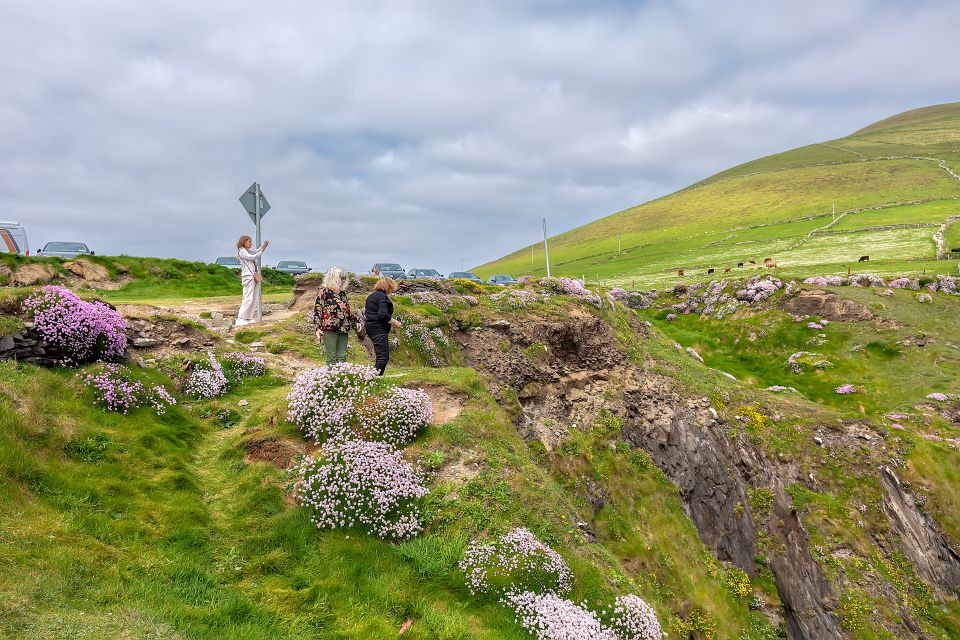 Private Luxury Full-Day Ring of Kerry Tour From Killarney - Amenities Provided