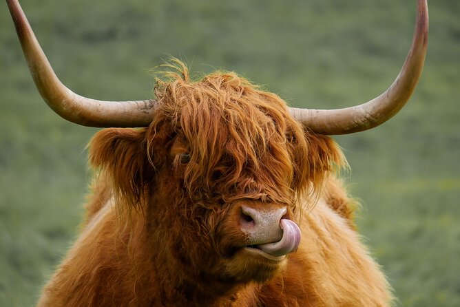 Private Luxury Mini Highlands Tour From Edinburgh - Braveheart - Pricing and Service Terms