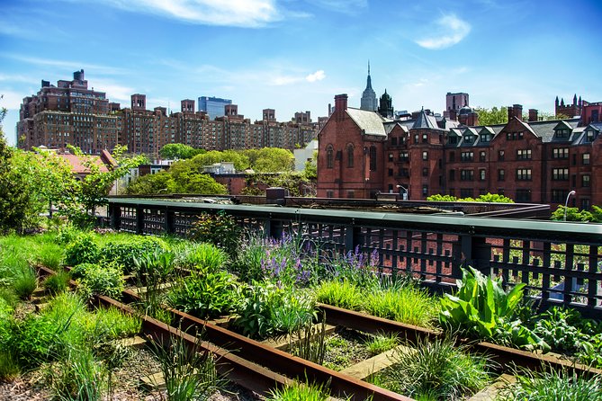 Private Meatpacking District, Chelsea Market, and The Highline Walking Tour - Accessibility Options