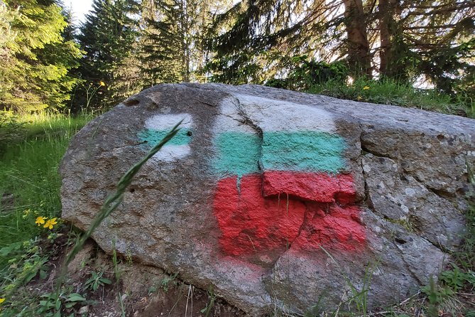 Private Mountain Biking in Vitosha From Sofia - Exploring Vitosha