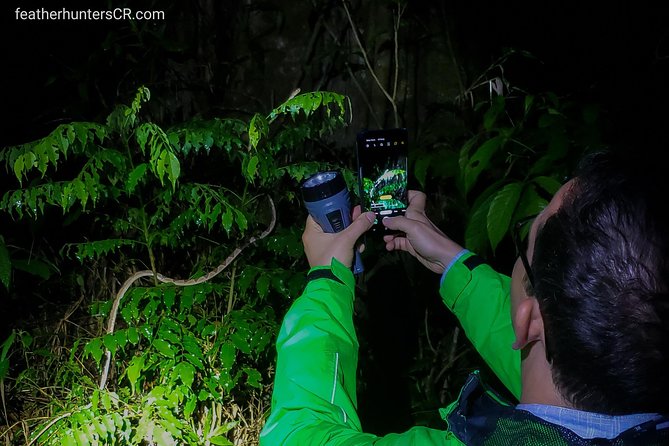 Private Night Hike In The Woods - Exploring Nocturnal Wildlife