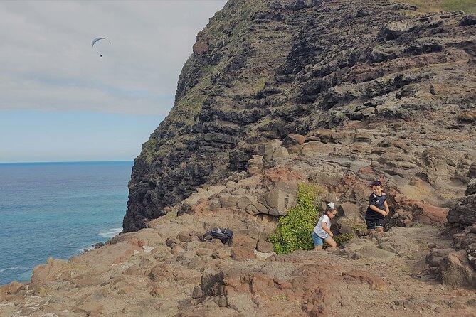Private Oahu Circle Island Tour - Exceptional Customer Feedback