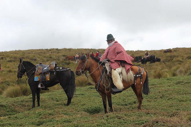 Private Quito City Tour With Teleférico and Horse Ride in Pichincha Volcano - Tour Logistics and Inclusions
