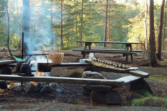 PRIVATE Reindeer Park Adventure by VIP Car - Traveler Reviews and Feedback