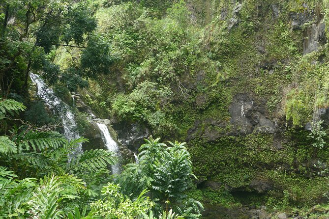 PRIVATE Road to Hana Tour - Traveler Reviews