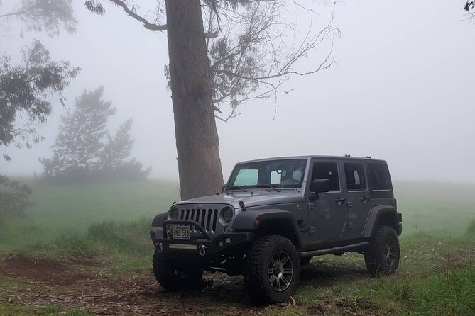 Private Rocky Coast Excursion Jeep Tour in Maui Island - Reviews and Customer Feedback