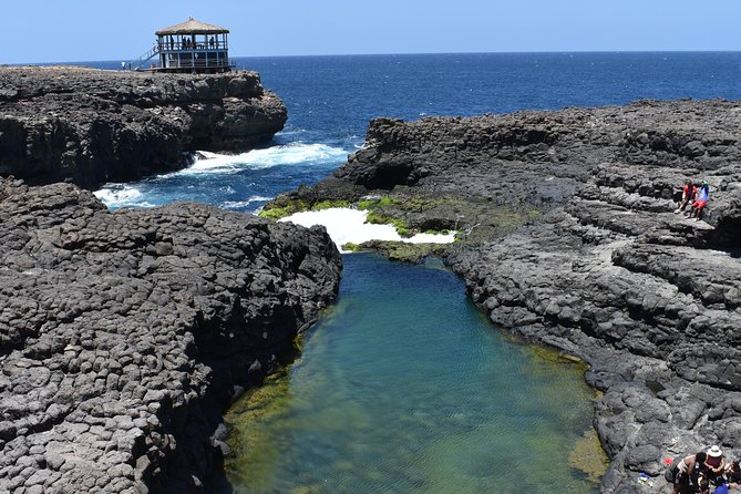 Private Sal Island Tour Authentic Experience From Santa Maria - Customer Reviews and Feedback