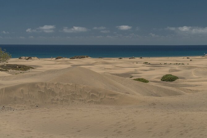 Private Shore Excursion in Gran Canaria the Miniature Continent - Personalized and Flexible Tour Arrangements