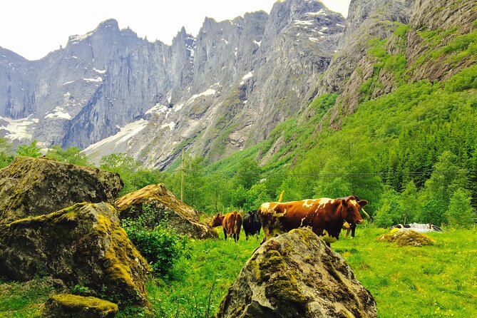 Private Shore Excursions Ålesund Trollstigen-Trollroad in Small (1-4)Groups - Meeting and Pickup Details