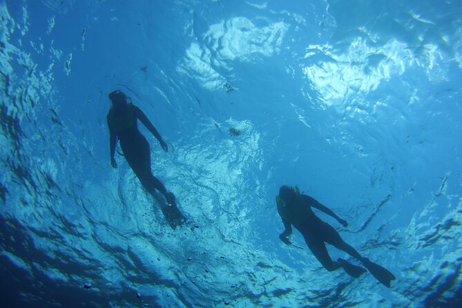 Private Snorkel to Key Largo Reef for up to 12 - INCLUDES GEAR! - Personalized and Uncrowded Tour