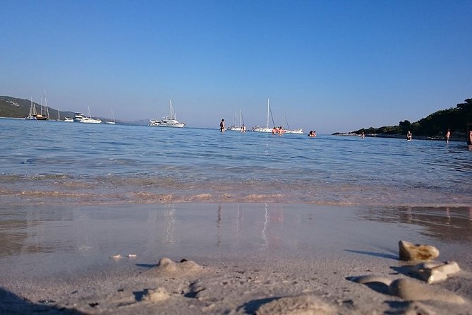 Private Speedboat Tour to Sakarun Bay and Golubinka Cave - Customer Reviews and Feedback