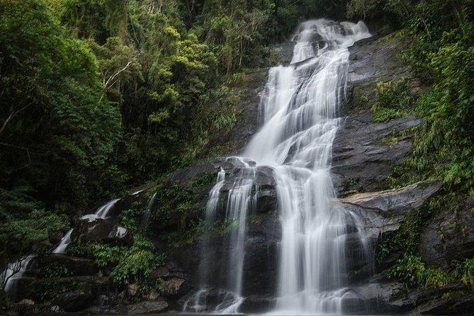 Private Sugarloaf Mountain and Tijuca Forest Tour - Reviews and Ratings