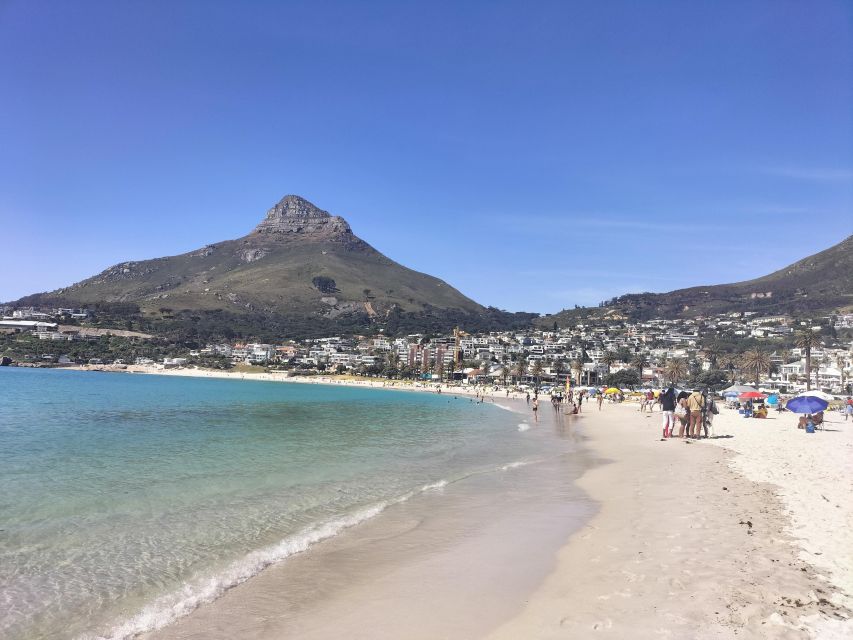 Private Tour: 7 Unforgettable Days in Vibrant Cape Town - Discovering the Winelands