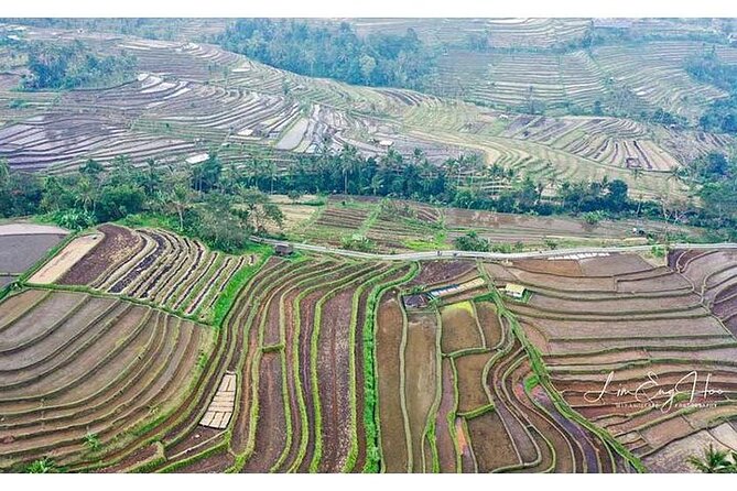 Private Tour Bedugul Temple-Jatiluwih-Taman Ayun&Tanah Lot Sunset - Customer Experiences