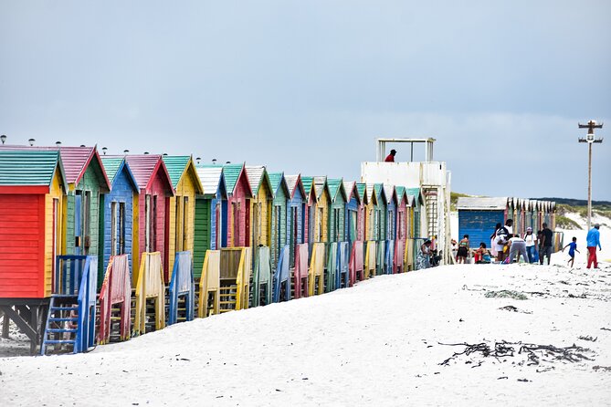 Private Tour Cape of Good Hope & Penguins Sightseeing Full Day - Tips for Your Tour