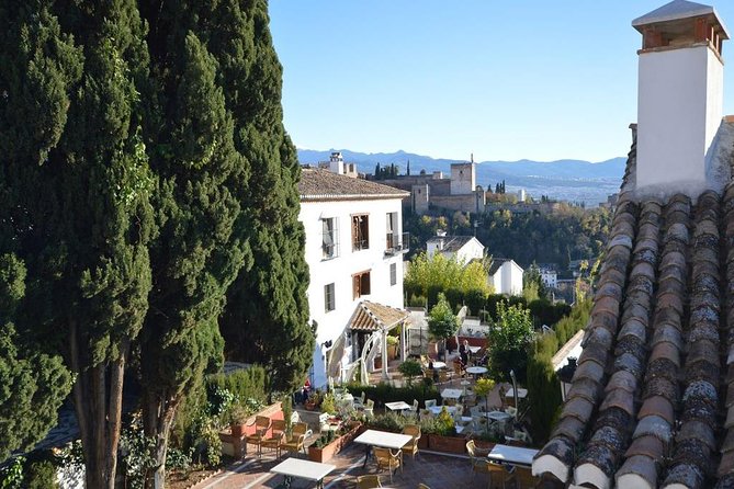 Private Tour From Malaga to the Alhambra Palace and Granada for up to 8 Persons - Accessibility and Physical Requirements