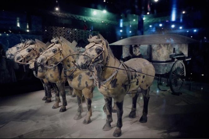 Private Tour Guide or Transfer for Terracotta Warriors and Xian - Booking Your Experience