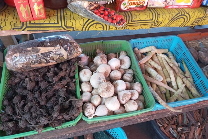 Private Tour in Belen Market, Floating City and Amazon River - Visiting the Malecón Tarapacá
