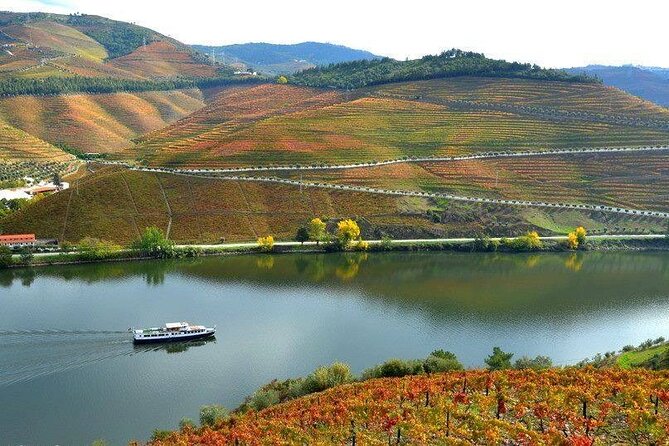 Private Tour in Douro - Positive Reviews