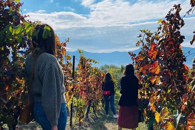Private Tour in Pompeii Ruins and Pompeii City Center Winery - Tour Highlights