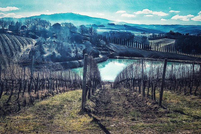 Private Tour: Montalcino Wine Tasting Experience - Confirmation and Availability