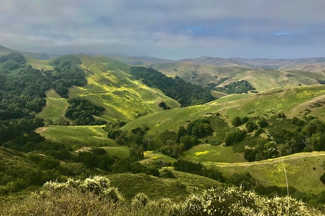 Private Tour of Californias Central Coast (San Luis Obispo-Paso Robles-Cambria) - Additional Tour Details