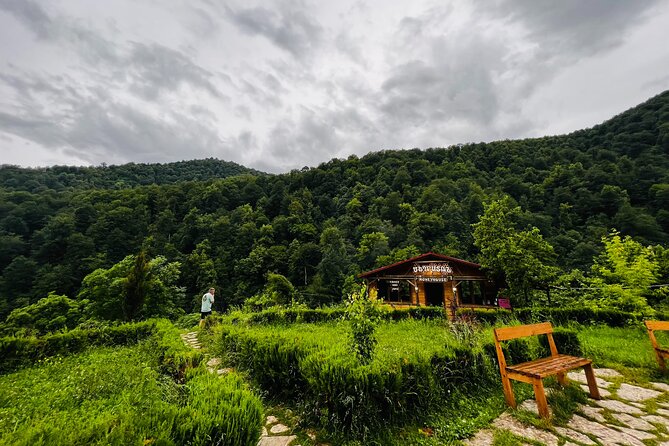Private Tour: Sevan-Dilijan Park-Lake Parz-Haghartsin - Dilijan: Historic Charm and Artistry