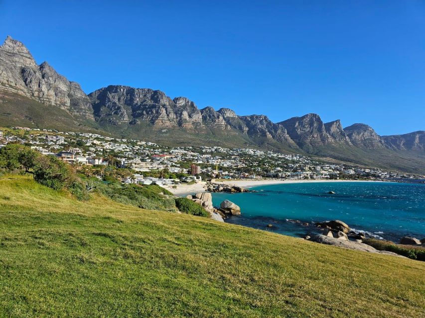 Private Tour: Table Mountain, Penguins Colony & Cape Of Good - Customer Experience and Reviews