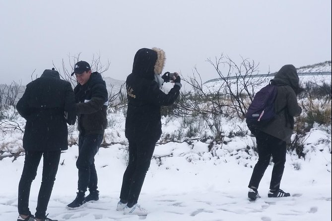 Private Tour Through Serra Da Estrela Park and Its Famous Cheese - Winter Sports Options