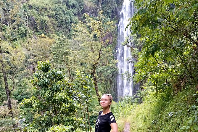 Private Tour to Materuni Waterfalls, Coffee Tour & Kikuletwa Hot- Springs - Coffee Farm Visit