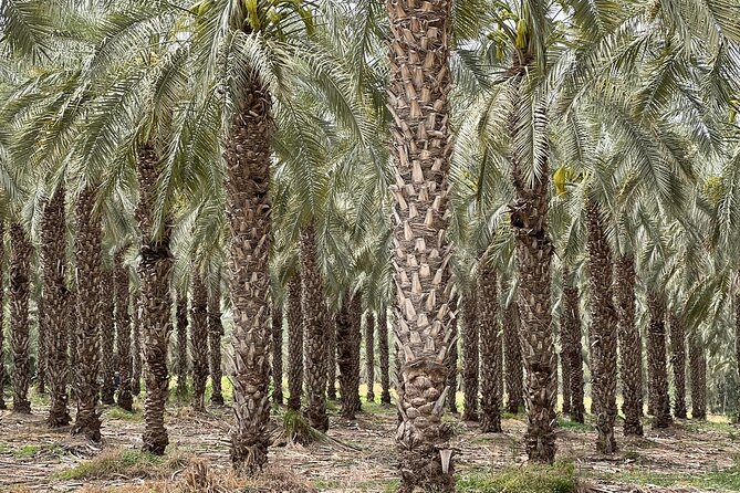 Private Tour to Nazareth & Sea of Galilee & Jordan River Yardenit - Exclusive - Inclusions and Exclusions